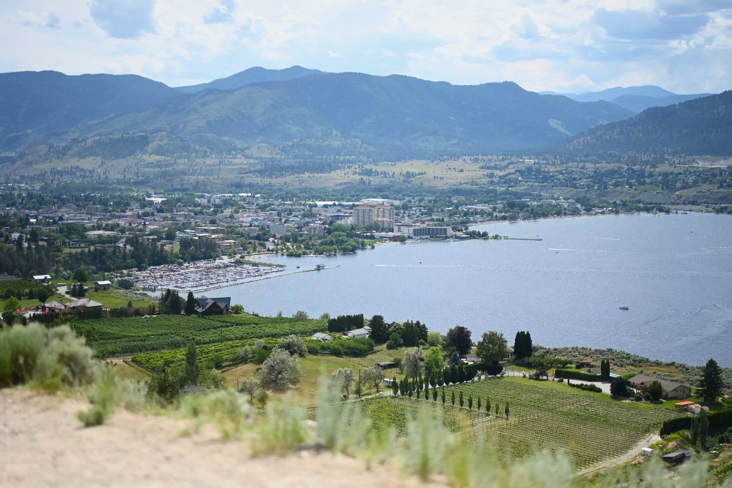 Featured image for “East Kelowna Orchard Hills Wine Tour 6”